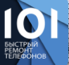 Логотип сервисного центра Цифровой сервис 101